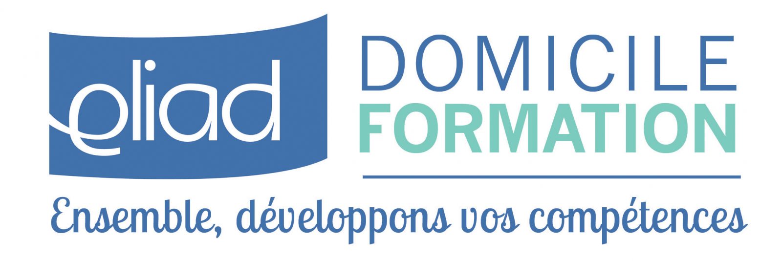 Logo-DF-accroche-max-1600x534